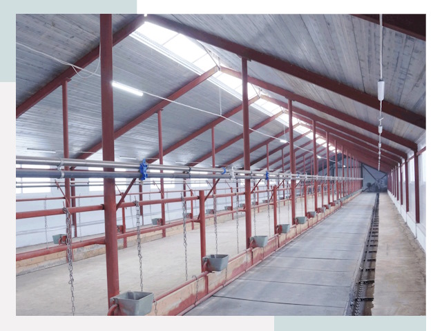 Строительство коровников в Туймазах от 611 руб.