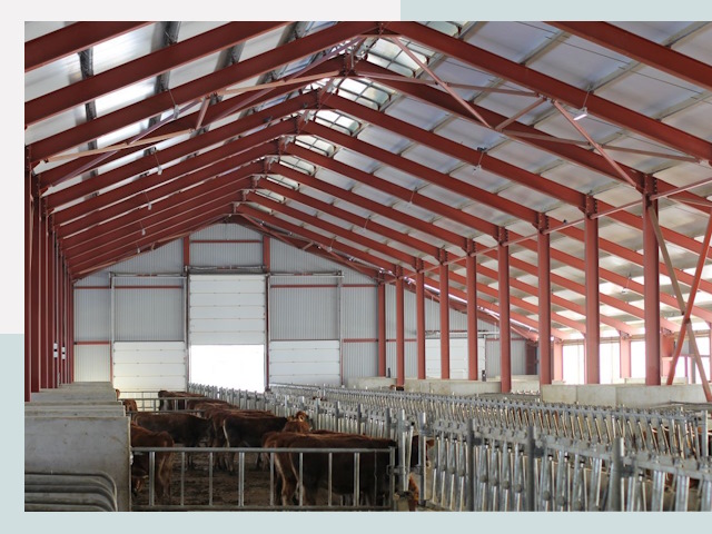 Строительство коровников в Туймазах