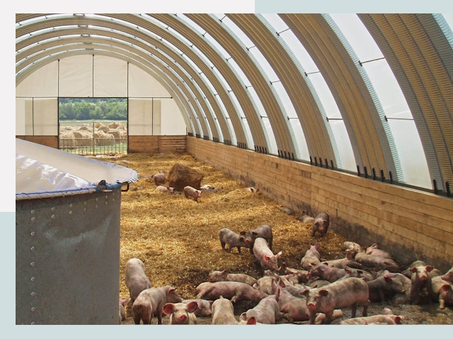 Строительство свинарников в Туймазах