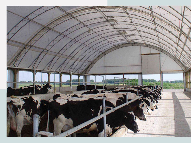 Тентовые коровники в Туймазах